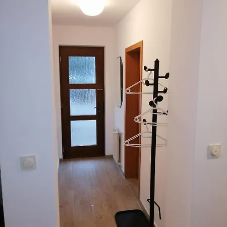 Ebenerdige Ferienwohnung Mit Grosser Terrasse In Der Naehe Des Waldes, Zum Wohlfuehlen Schoneck Zewnętrze zdjęcie